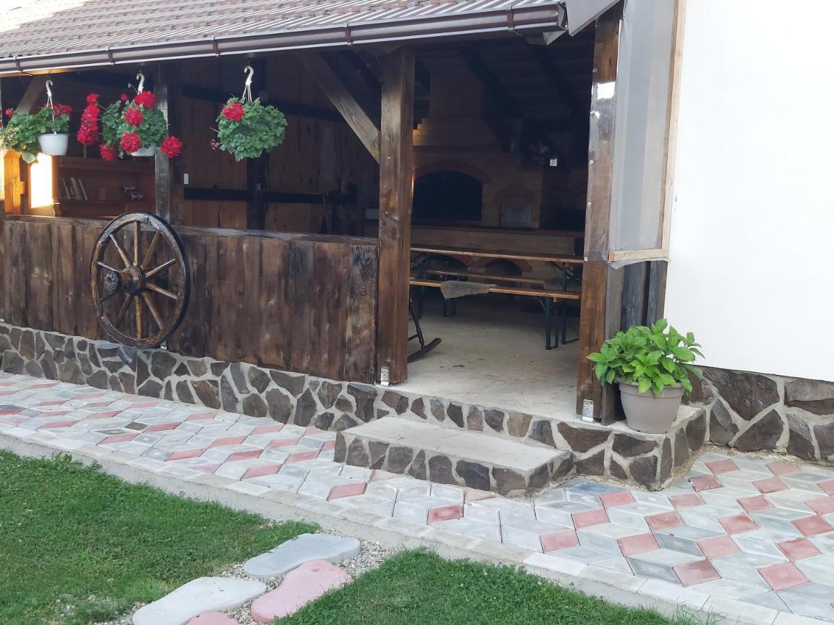 Pensiunea Maya Сымбэта-де-Сус Экстерьер фото