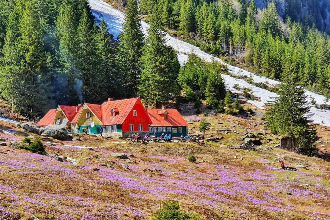 Pensiunea Maya Сымбэта-де-Сус Экстерьер фото